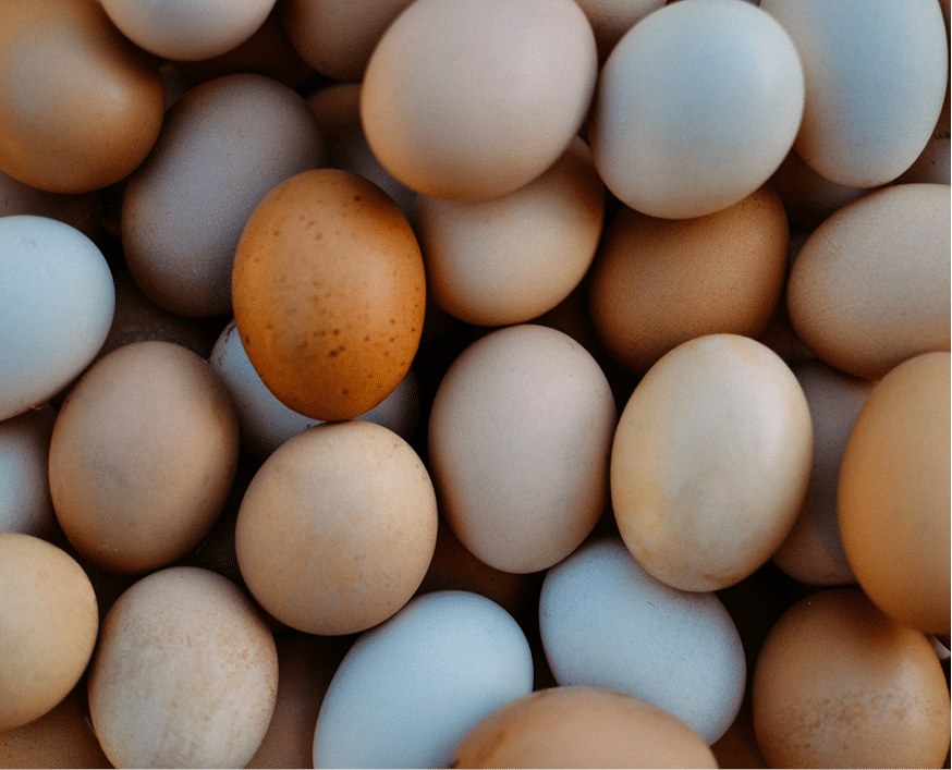 Assorted farm-fresh eggs in natural light showing organic textures and earthy shell colors.