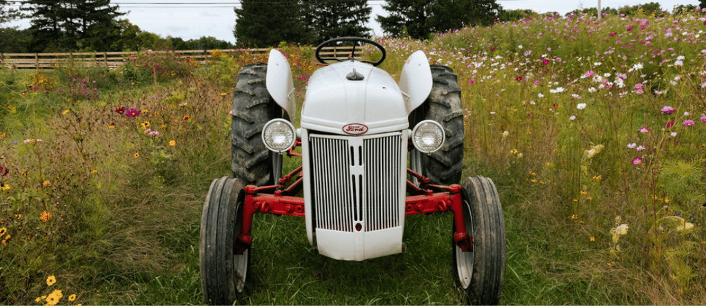 Vintage white and red Ford tractor on grassy path surrounded by wildflowers in countryside field.