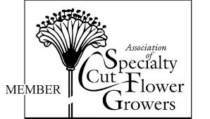 Black-and-white ASCFG member logo with stylized flower and professional cut flower growers text.