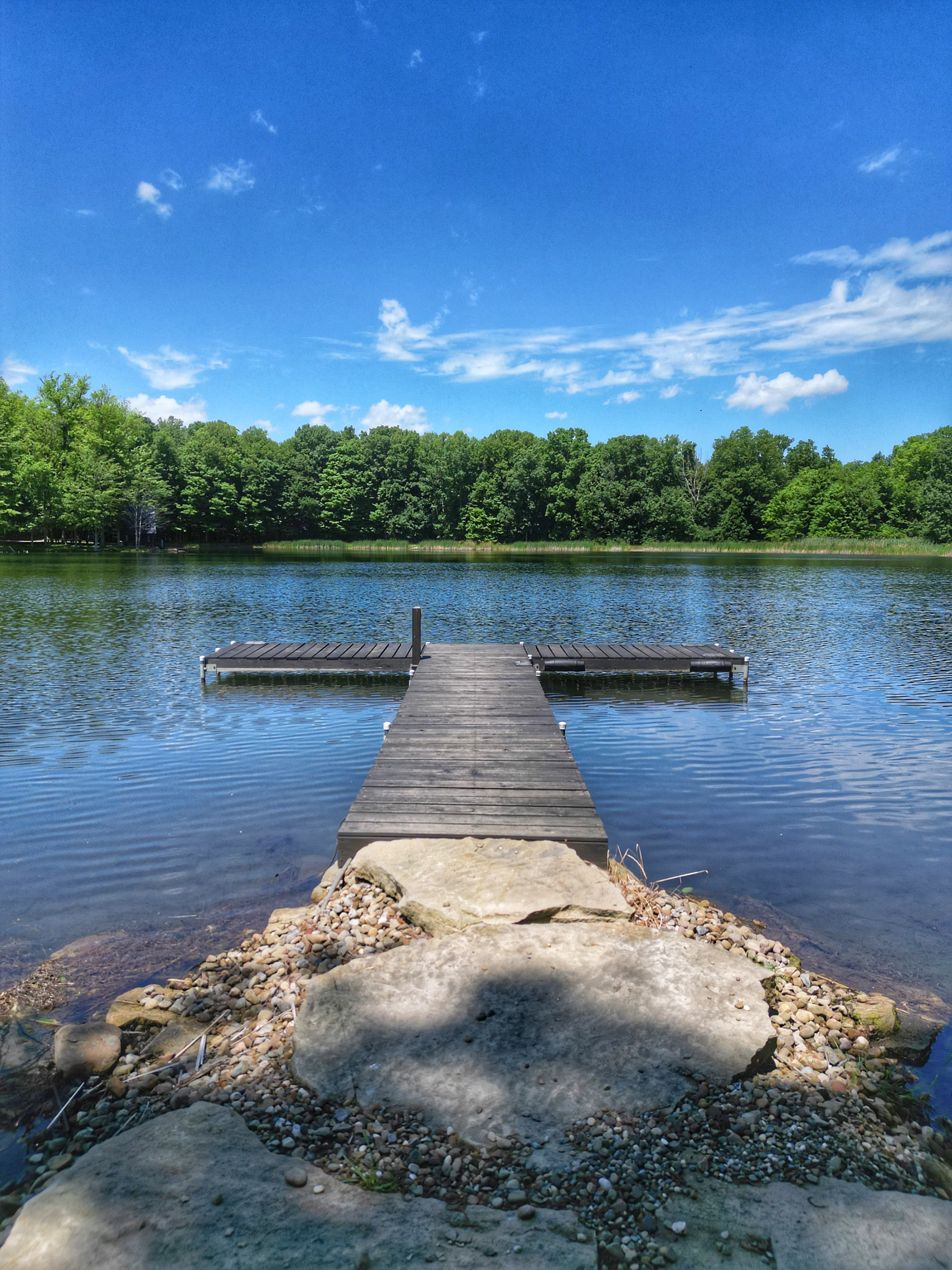 Wooden dock over calm blue lake surrounded by green trees under a bright sunny sky.