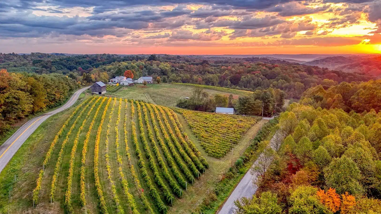 Golden sunset over rolling farmland with barns, vineyards, and winding road in peaceful countryside.